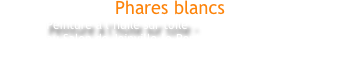 Phares blancs
Peinture à l’huile sur toile - 2007 - 81x116 cm
Exposée au Salon de Joinville-le-Pont 2007 - Médaille d’or 2007
Collection privée - France